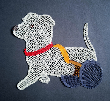 Un chien dentelle avec un collier rouge et un chariot pour soutenir ses pattes arrières paralysée